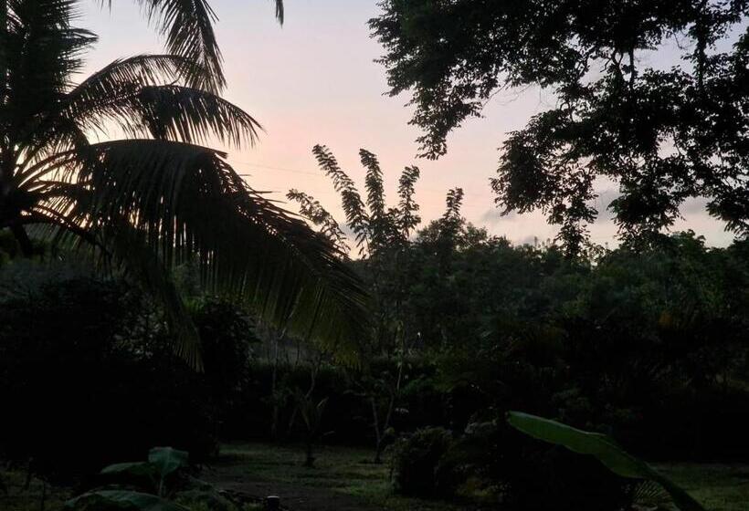 ホテル Sigiriya Cottage