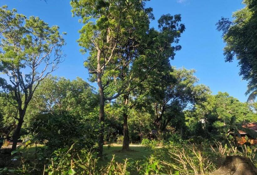 ホテル Sigiriya Cottage