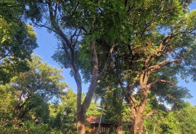 ホテル Sigiriya Cottage