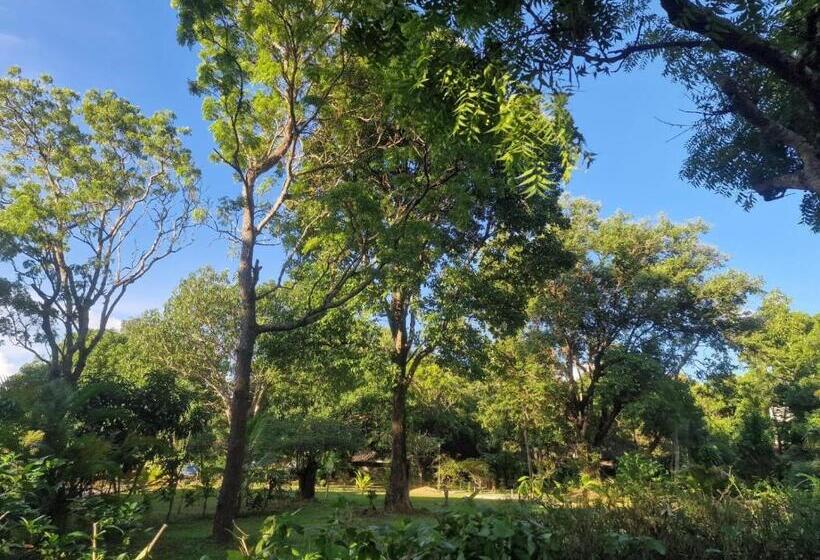 ホテル Sigiriya Cottage