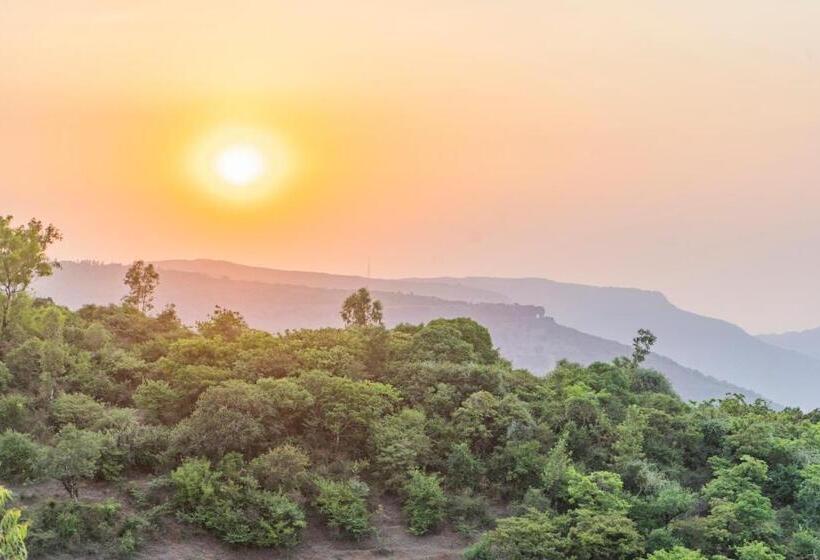 בית מלון כפרי The Mountain Mist