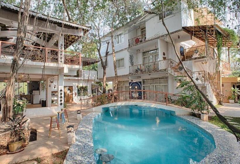 Hotel The Singing Tree