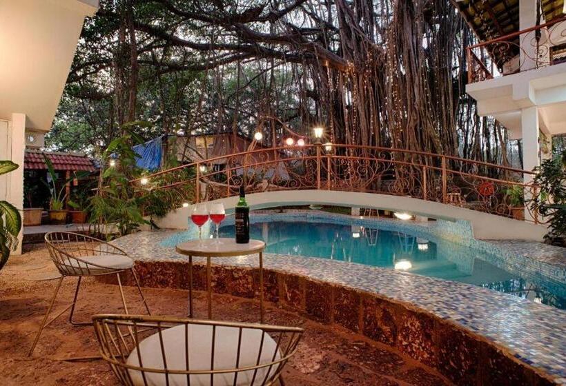 Hotel The Singing Tree