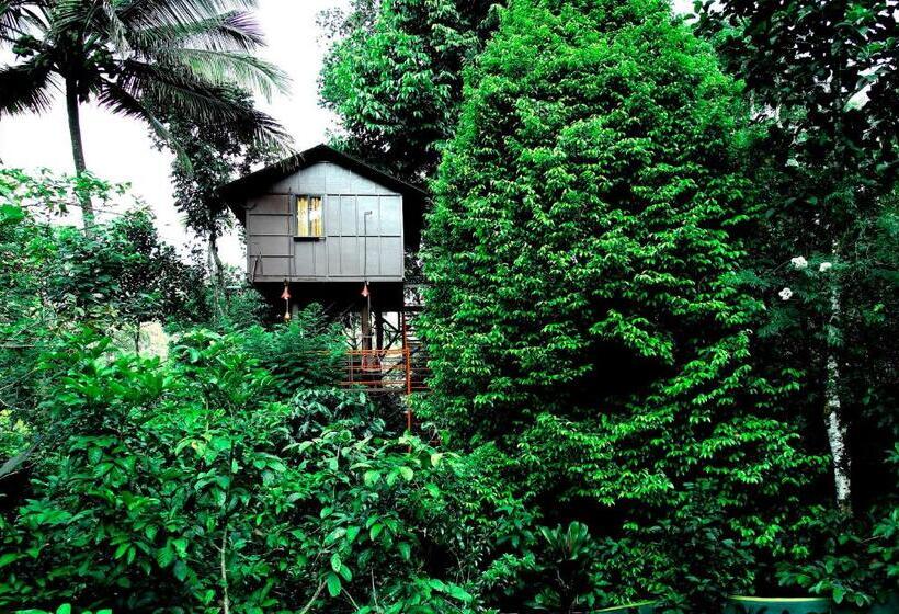 בית מלון כפרי The Wayside Tree House And Private Villas