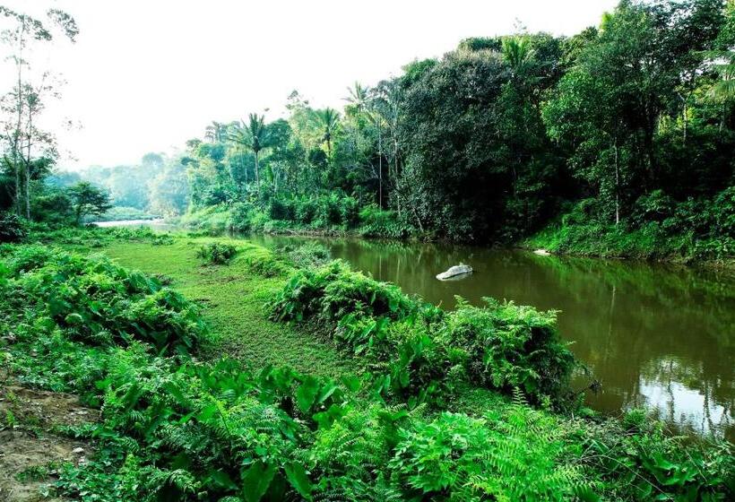בית מלון כפרי The Wayside Tree House And Private Villas