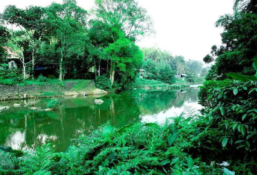 בית מלון כפרי The Wayside Tree House And Private Villas