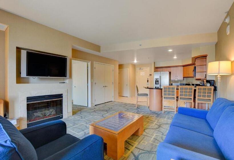 Luxury 1bd/1bth Suite At Platinum Hotel Strip View