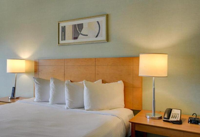 Luxury 1bd/1bth Suite At Platinum Hotel Strip View