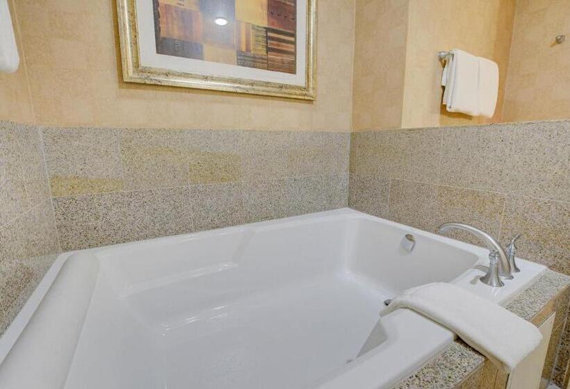 Luxury 1bd/1bth Suite At Platinum Hotel Strip View
