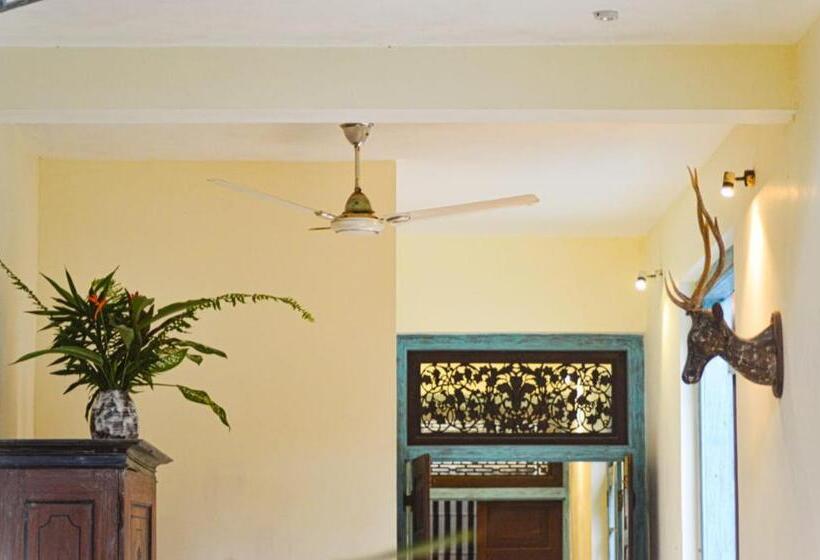 펜션 Hiriketiya Cove Inn