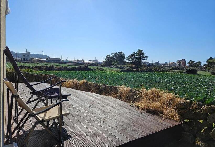 ペンション Mo Guesthouse