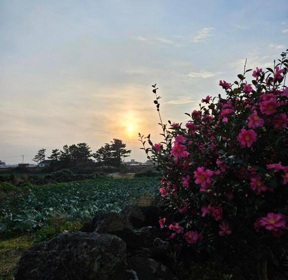 ペンション Mo Guesthouse