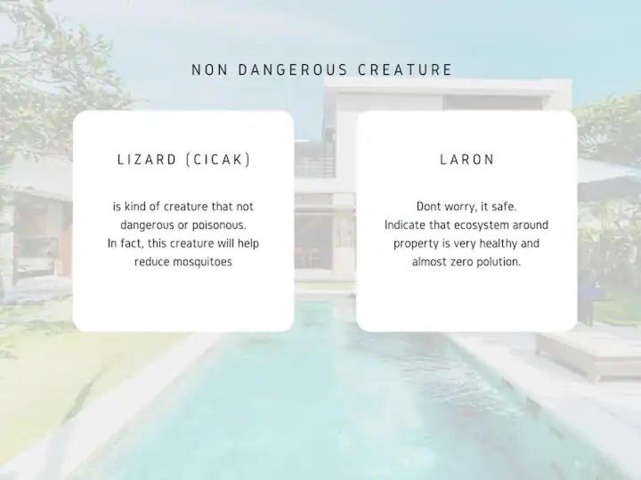 بنسيون Pondok Kita