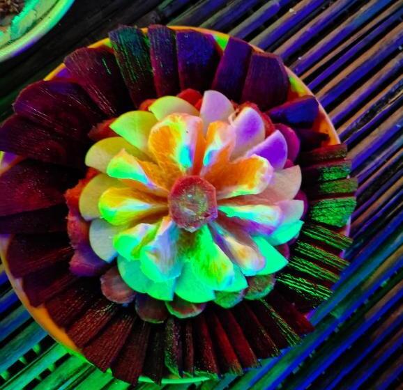 پانسیون Renuka Homestay And Cafe