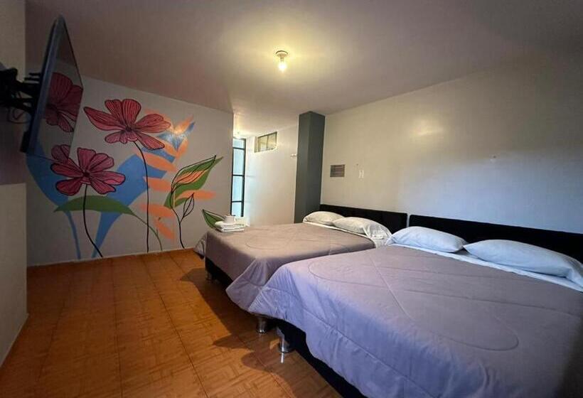 펜션 San Roberto Lince