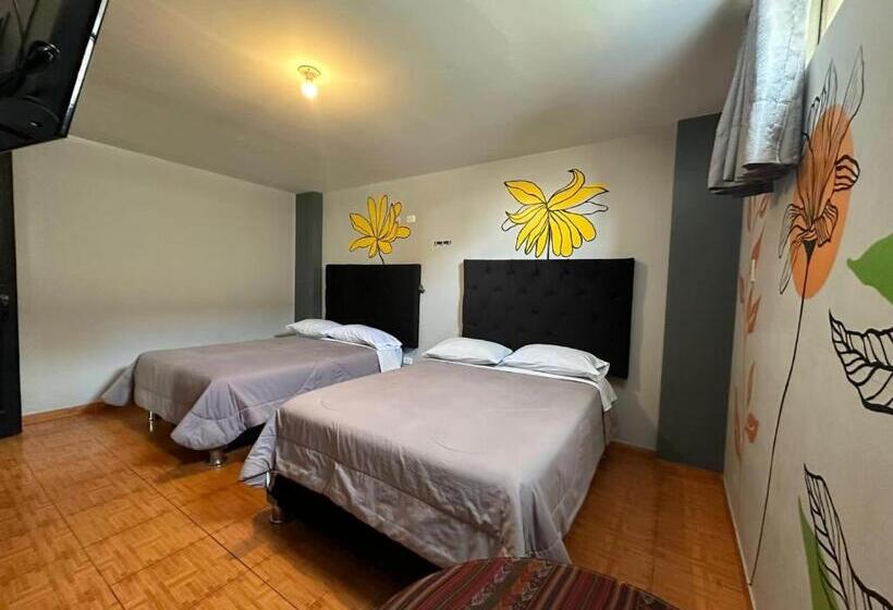 펜션 San Roberto Lince