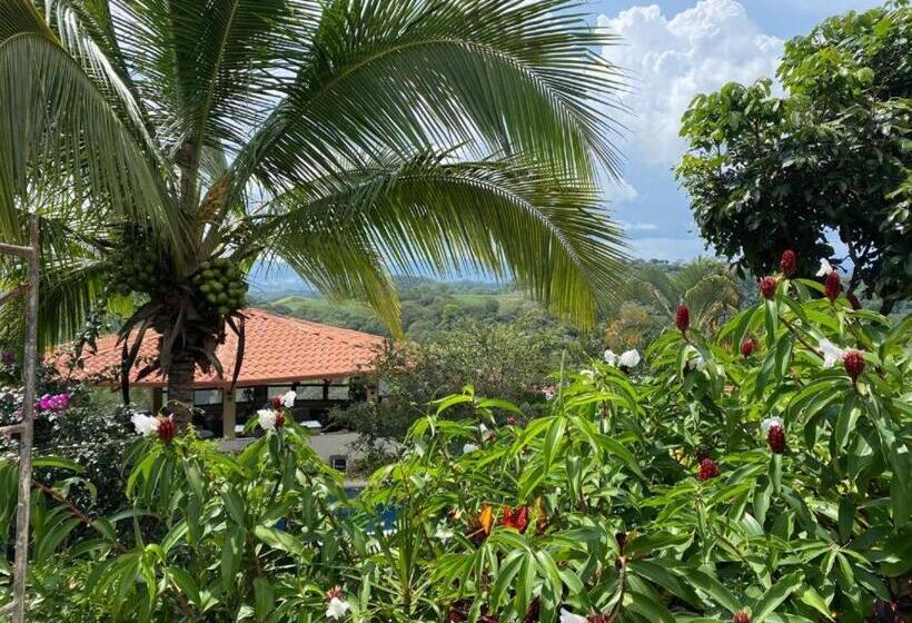 بنسيون Villa Garita Inn