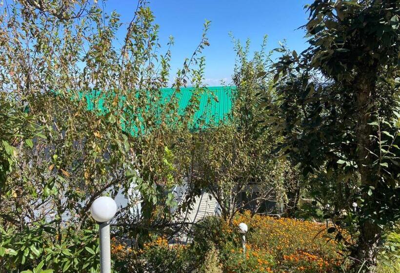 Shree Parijat Resort At Mukteshwar Hill Station With Himalayan View