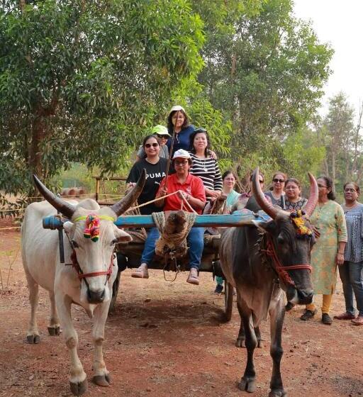 Z Bac Adventure & Leisure Resort Kolad