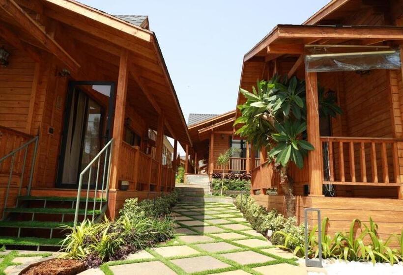 Aaristo Beach Resort And Spa