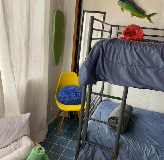 הוסטל Beach Bungalow