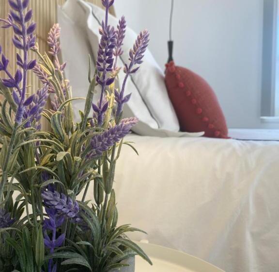 ユースホステル Grândola Suites   Suite Afonso