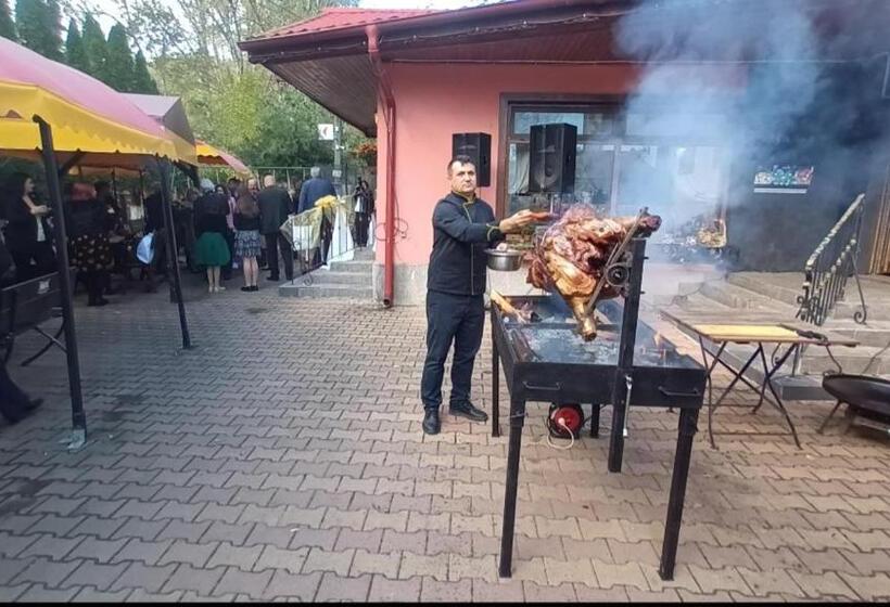 Общежитие Hanul Anitei