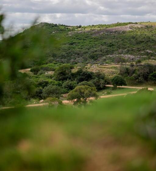 호스텔 Las Taperas Posada Boutique