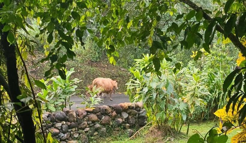 The Riverside Hostel