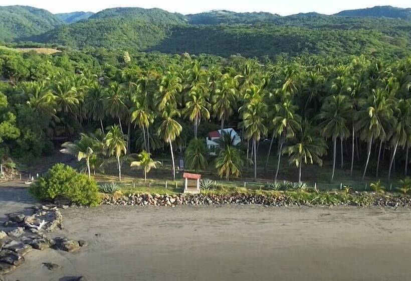 فندق صغير Sugarloaf Beach House & Surf Lodge