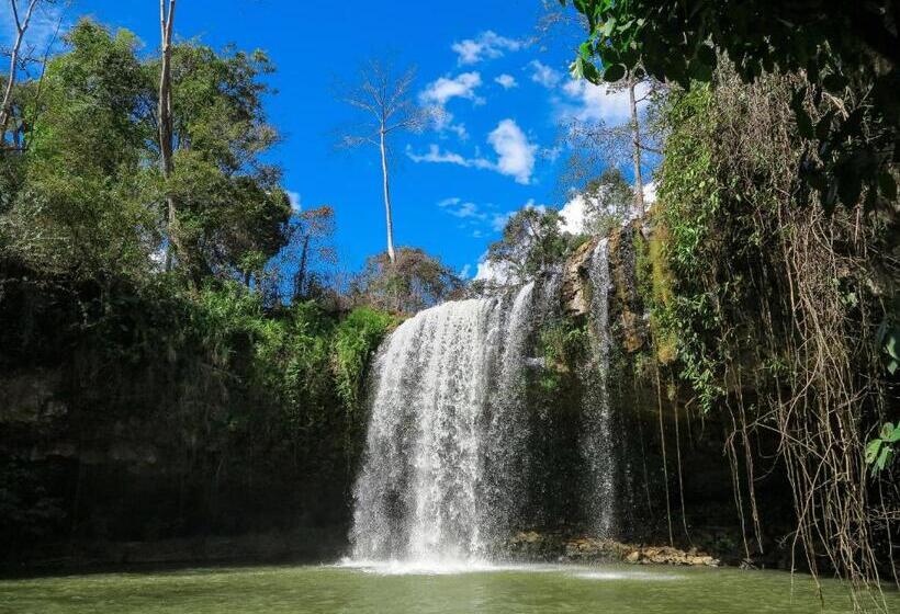 Backpacker Hostel And Jungle Trekking