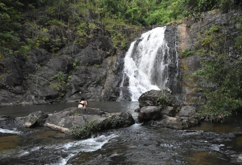 Backpacker Hostel And Jungle Trekking