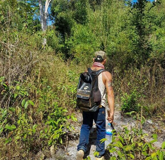 Backpacker Hostel And Jungle Trekking