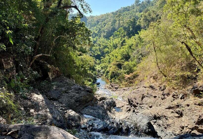 Backpacker Hostel And Jungle Trekking