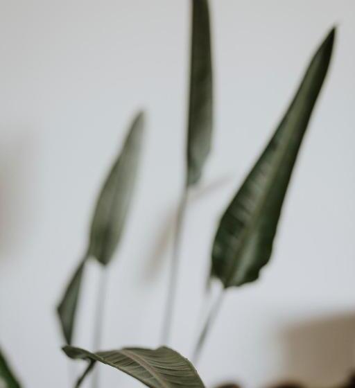 Bed and Breakfast Bibbia  Tenuta Di Campagna