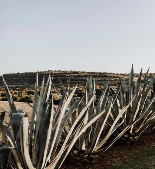 Bed and Breakfast Bibbia  Tenuta Di Campagna