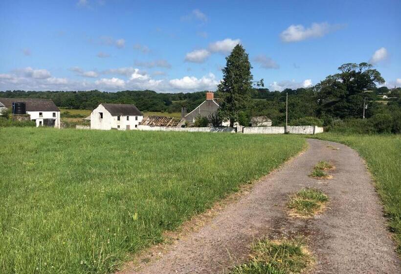 住宿加早餐  Fferm Glanyrynys Farm