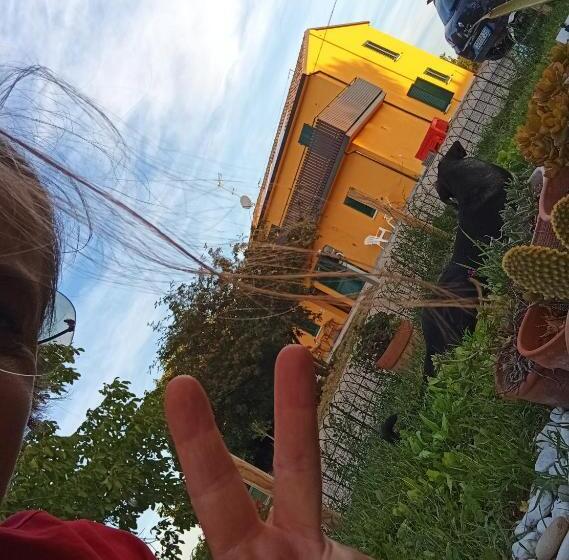 ベッドアンドブレックファースト Residenza Conte Olivia