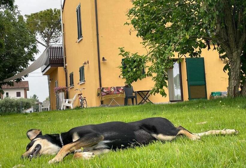 ベッドアンドブレックファースト Residenza Conte Olivia