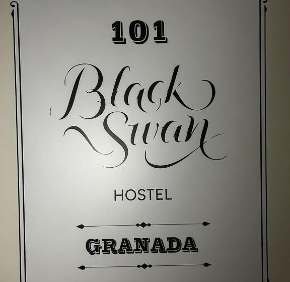 Black Swan Hostel Granada
