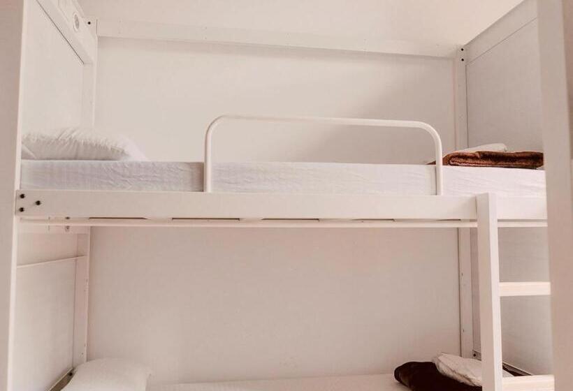 Black Swan Hostel Granada