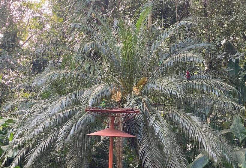 Flat 233 Riviera De São Lourenço, Bertioga Amarílis 3 Piscinas Climatizadas, Sky 170 Canais Carregad