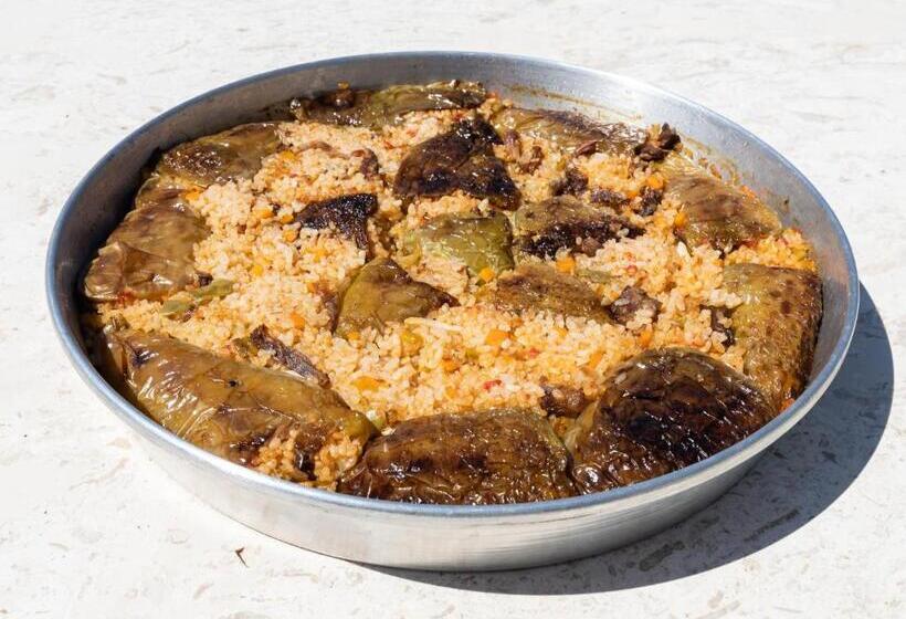 בית מלון כפרי Bujtina Drini I Zi