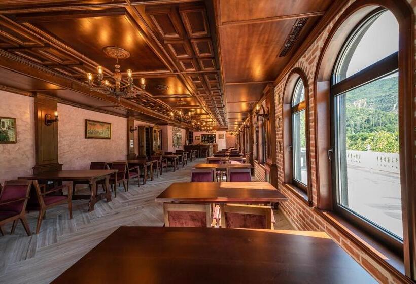 בית מלון כפרי Bujtina Drini I Zi