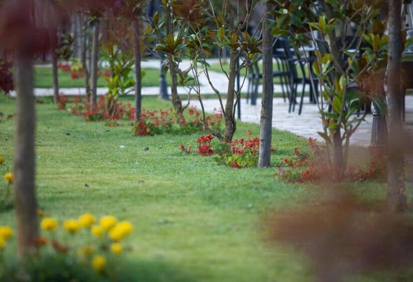 בית מלון כפרי Bujtina Drini I Zi