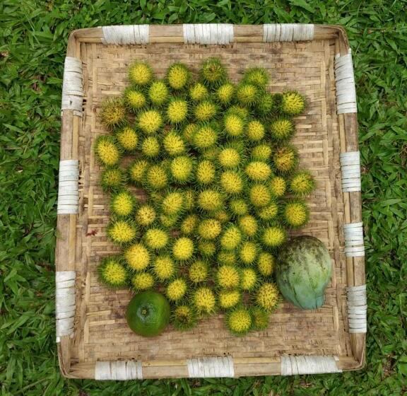 Отель Calm Shack   2 Bedroom Boutique Farm Stay