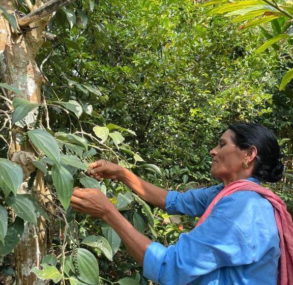 Отель Calm Shack   2 Bedroom Boutique Farm Stay