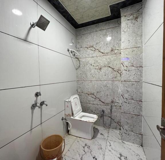 Отель Chaudhary Palace