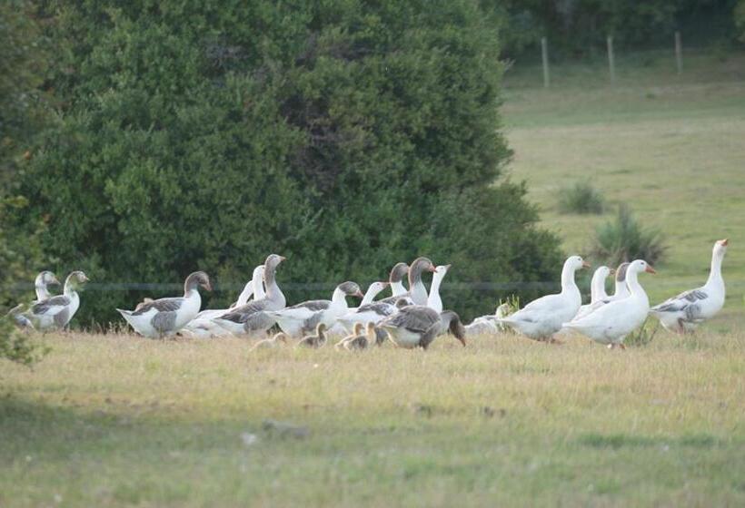 ホテル Estancia La Pilona