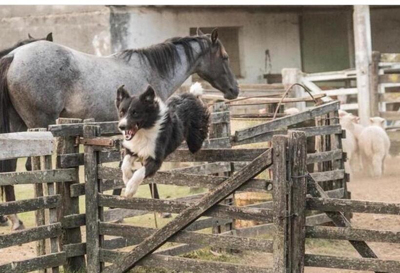 ホテル Estancia La Pilona